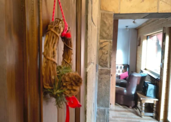 House - Solisko シュチルク